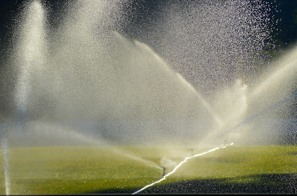 Sprinkler System Maintenance Tips