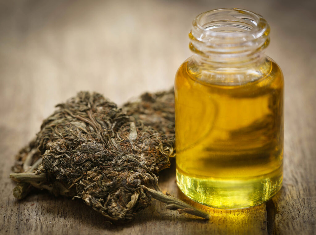 Medicinal cannabis with extract oil